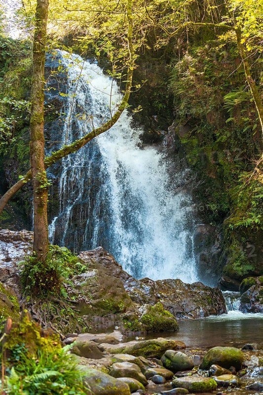 The impressive Xorroxin waterfall in northern Navarra, near the village of Errezil