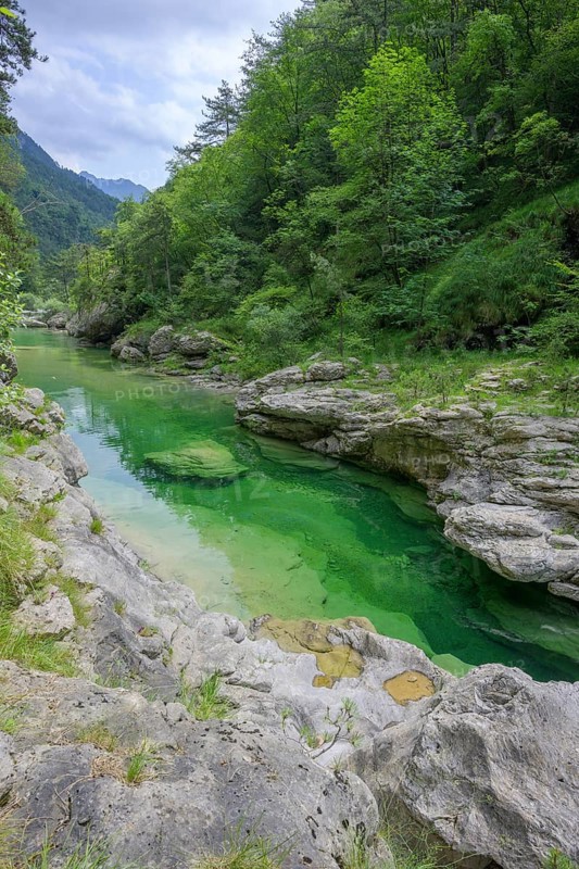 Emerald green river Pozze Smeraldine, Tramonti di Sopra, Province of Pordenone, Italy