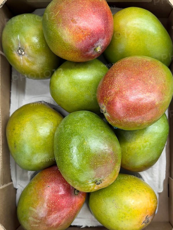 Natural organic fruit mango in loose pieces Display of retail wholesale greengrocer supermarket environmentally friendly without plastic packaging no plastic packaging, Germany