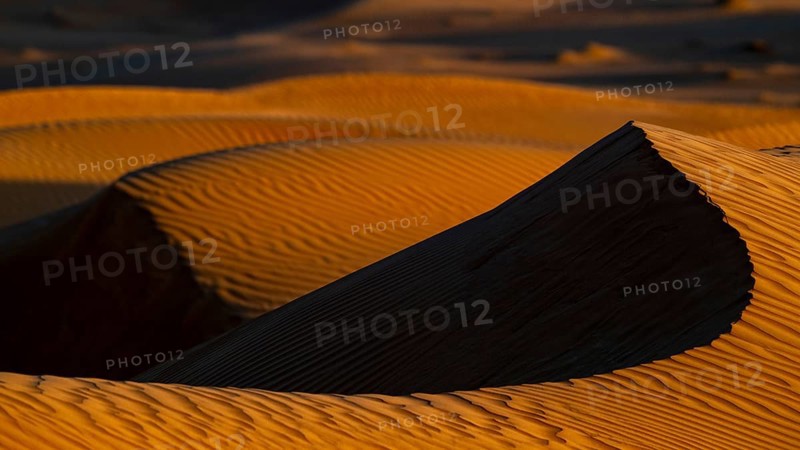 Sand dunes in the Rhub al Khali desert, detailed view, empty quarter, largest sandy desert in the world, Oman