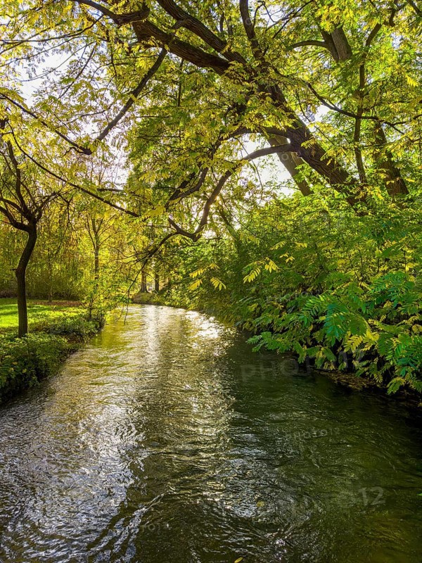 Autumn atmosphere in the English Garden, Schwabinger Bach, Munich, Bavaria, Germany