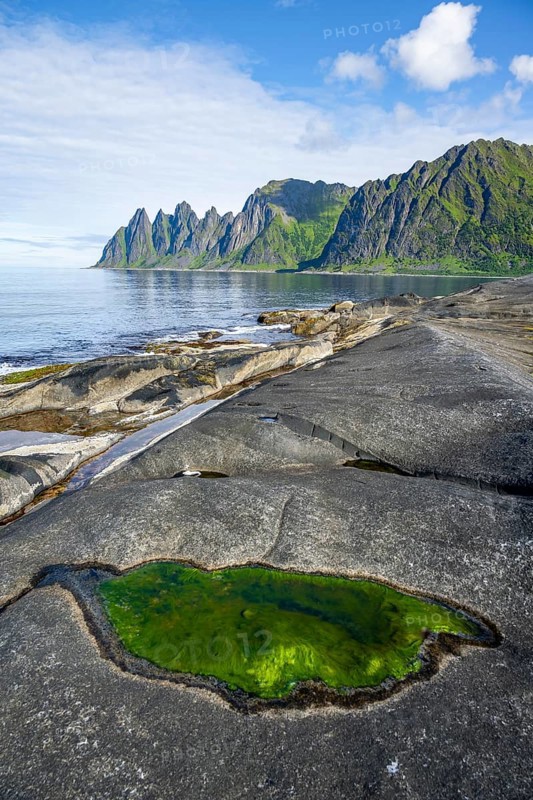 Green algae in a tidal pool, rocky coast of Tungeneset, Devil's Teeth, Okshornan, Ersfjorden, Senja Island, Troms, Norway