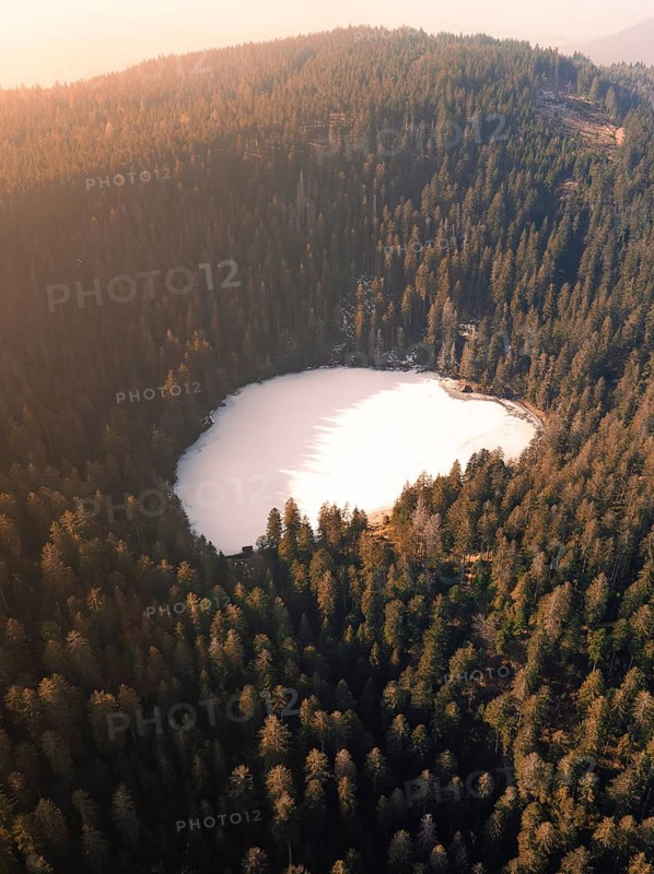 A bird's eye view of a lake surrounded by dense forests in a peaceful landscape, Glaswaldsee, Bad Rippoldsau-Schapbach, Black Forest, Germany