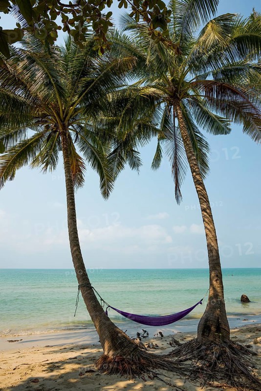 Picturesque beach with coconut palms and hammock, Ko Chang, Koh Chang, Mu Ko Chang National Park, Trat, Thailand