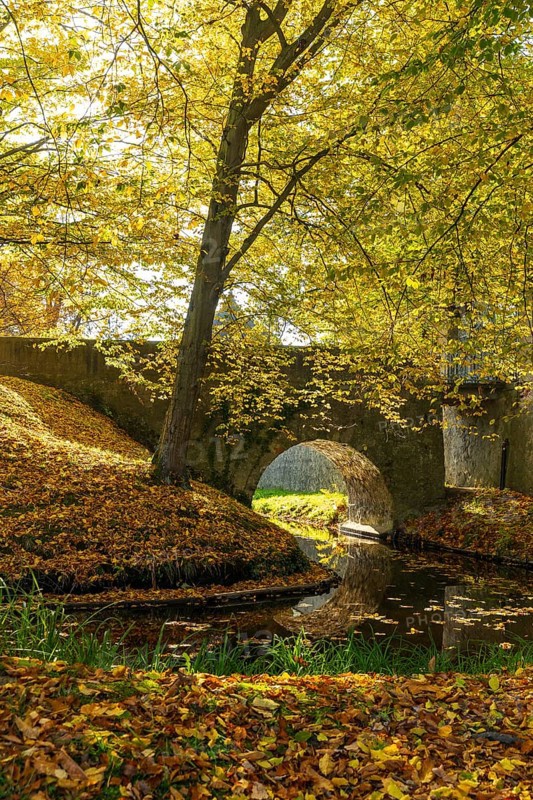 Bridge over the moat in the park of Hermsdorf Castle in autumn, Ottendorf-Ockrilla, Saxony, Germany