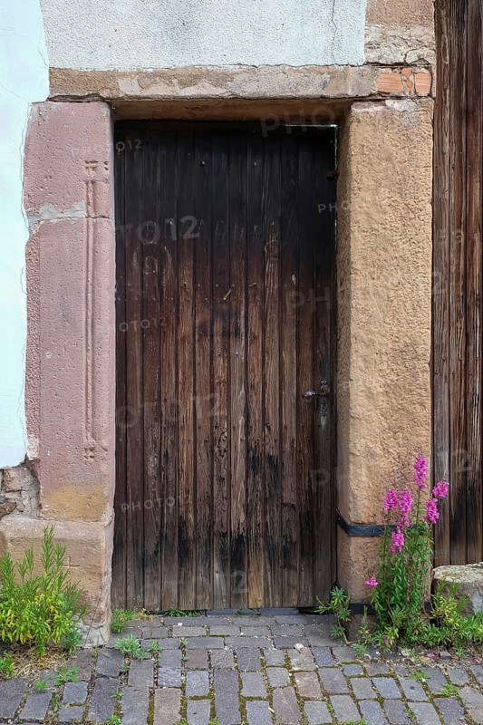 Old wooden courtyard door with sandstone surround, Rhodt unter Rietburg, German or Southern Wine Route, Southern Palatinate, Palatinate, Rhineland-Palatinate, Germany