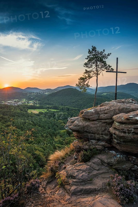 Sandstone rock with pine tree and summit cross, Rötzenfelsen, sunrise, Gossersweiler-Stein, Palatinate Forest, Palatinate Forest, Rhineland-Palatinate, Germany
