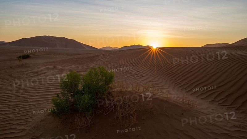 Sand dunes in the Rhub al Khali desert, empty quarter, largest sandy desert in the world, Oman