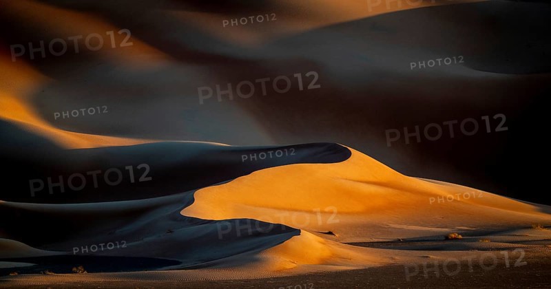 Sand dunes in the Rhub al Khali desert, empty quarter, largest sandy desert in the world, Oman