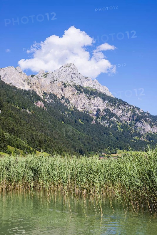 Haldensee, Tannheimer Tal, behind it the Rote Flüh, 2108m, Tannheimer Berge, Allgäu Alps, Tyrol, Austria
