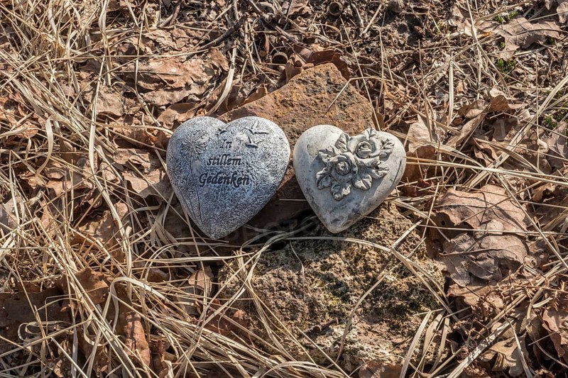 Hearts with inscription, natural burial grave site, Friedwald, Reinhardswald Forest, Weser Uplands, district of Kassel, Hesse, Germany