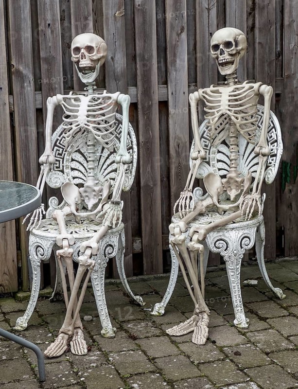 Garden decorations, two skeletons sit on chairs against a wooden plank in a garden in Ystad, Skåne County, Sweden, Scandinavia
