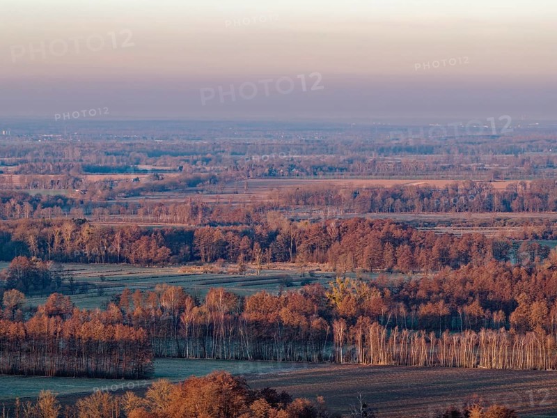 Landscape in the Drömling UNESCO Biosphere Reserve in the Altmark at dawn on a cold spring day. The tree tops are reddish in the morning light. aerial view. Dannenfeld, Gardelegen, Saxony-Anhalt, Germany