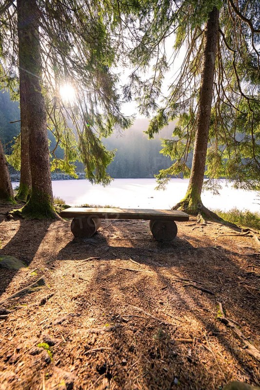 A quiet seating area in the forest with sunlight, view of a lake, calming atmosphere, Glaswaldsee, Bad Rippoldsau-Schapbach, Wolfach district, Black Forest, Germany
