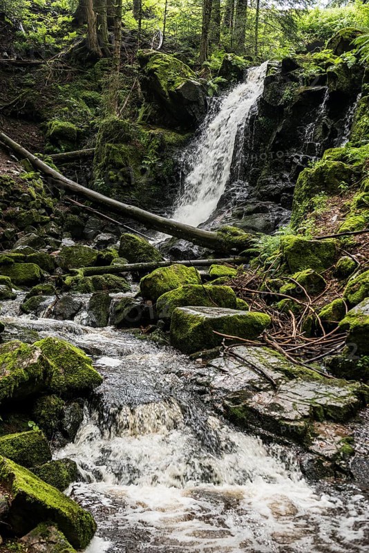 Waterfall, Windberg Waterfall, St Blasien, Southern Black Forest, Black Forest, Germany