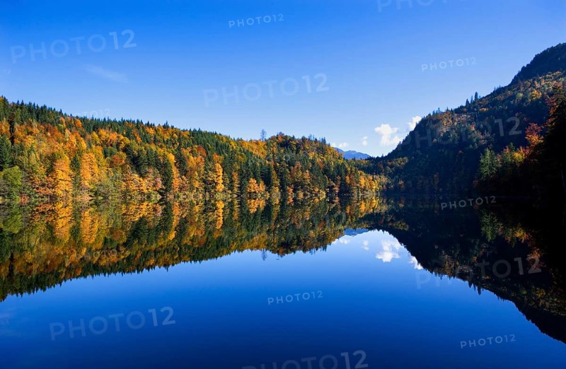 Mountain lake, Colourful autumn forest reflected in the Nussensee, Salzkammergut, Salzburg province, Austria