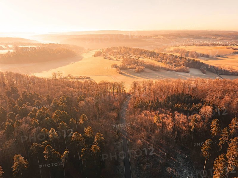 Aerial view of a road through a forest and past fields in the soft morning light, Gechingen district of Calw, Black Forest, Germany