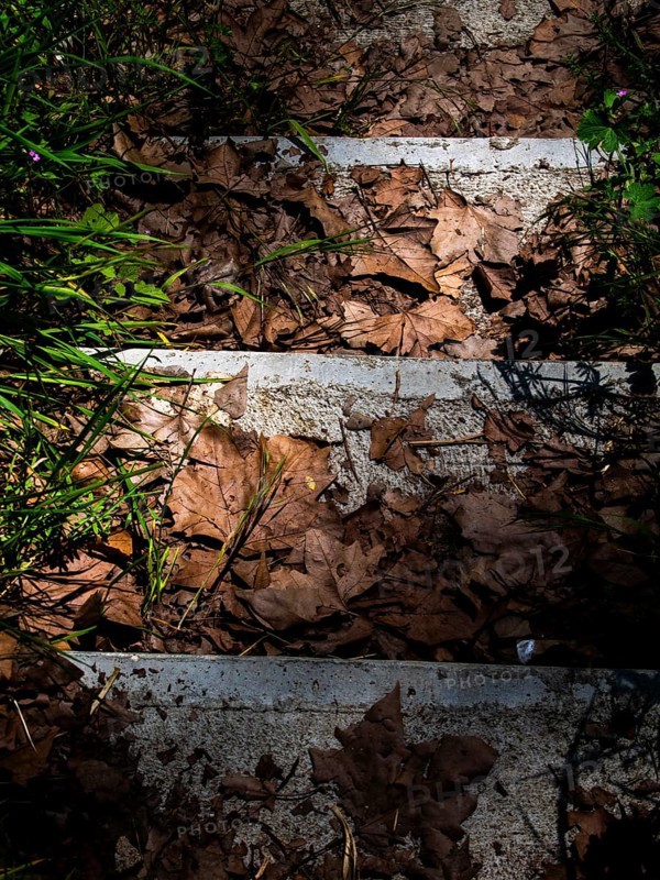 Tree leaves fallen on the steps of a staircase .Nevers. Nievre departement. France