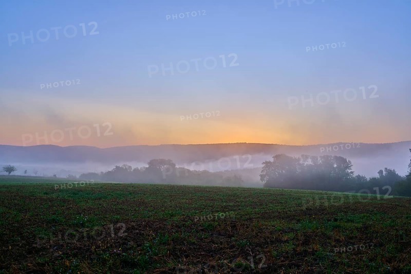 Dawn over a foggy cereal field with hills and trees in the background in a quiet atmosphere, Großheubach, Miltenberg, Spessart, Bavaria, Germany