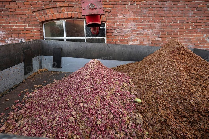 Pomace, the rest of the pressed fruit in a cider mill, Mecklenburg-Vorpommern, Germany
