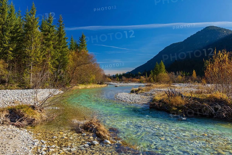 Isar valley nature conservancy area. The wild Isar river flows through its gravel bed past driftwood and entrained trees and bushes . Early morning