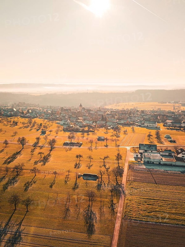 Extensive fields and trees with village in the background, in a misty autumn landscape, Neubulach, Black Forest, Germany