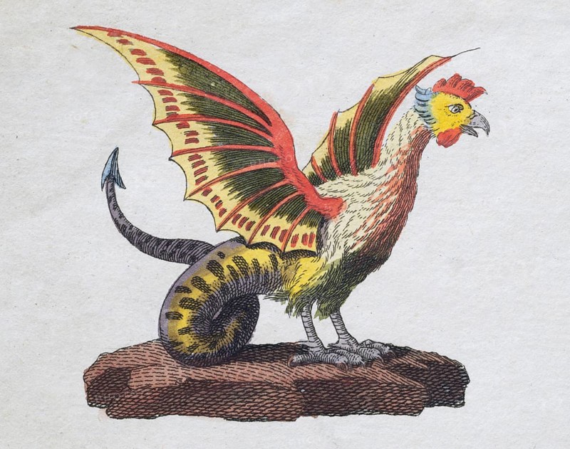 Basilisk, mythical creature, hand-coloured copperplate engraving, from Friedrich Justin Bertuch's picture book for children, Vienna 1801