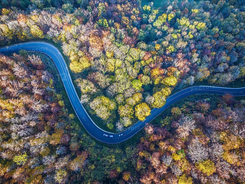 Winding country road through a forest with autumn-coloured trees, Swabian Alb in autumn. Aerial view. Lenningen, Baden-Württemberg, Germany