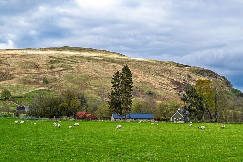 Farm and mountains, Loch Earn, Southern Highlands, Scotland, United Kingdom