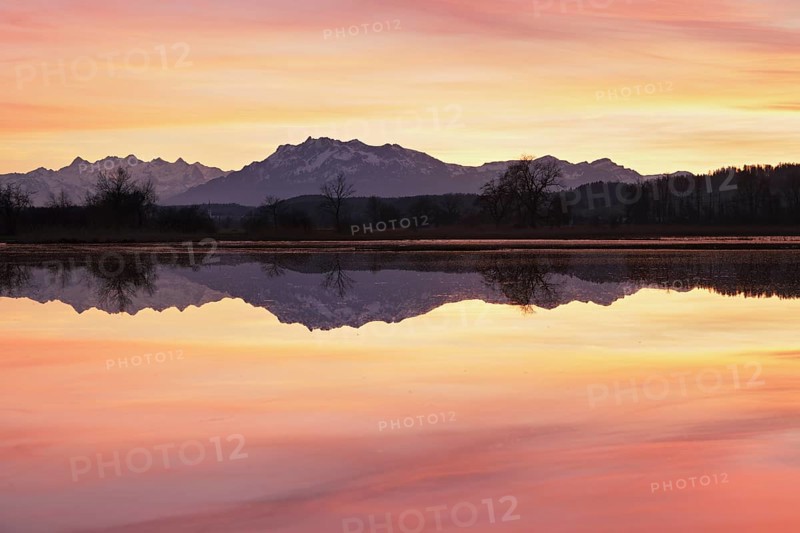 Pilatus reflected in the flooded nature reserve in the evening light, Reussspitz, Hünenberg, Canton Zug, Switzerland