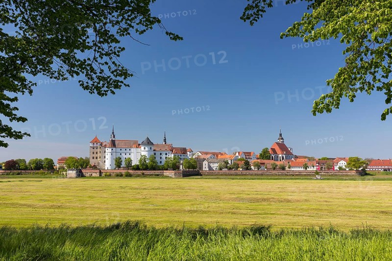 Town view from the east across the Elbe with Hartenfels Castle and St Mary's Church, Torgau, Saxony, Germany