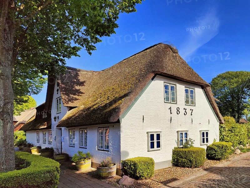 Uthlandfriesian house, typical, small thatched-roof houses with gables also called Frisian house, Nieblum, Föhr, North Frisia, Schleswig-Holstein, Germany