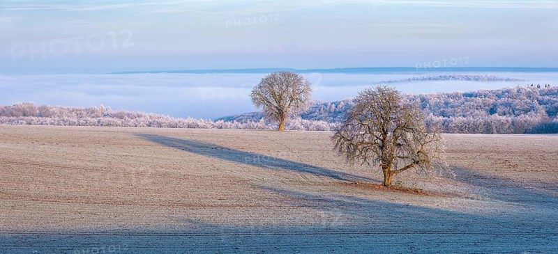 View of the Unstrut valley in winter, fields, trees and forests covered with hoarfrost, fog in the valley, Memleben, Saxony-Anhalt, Germany