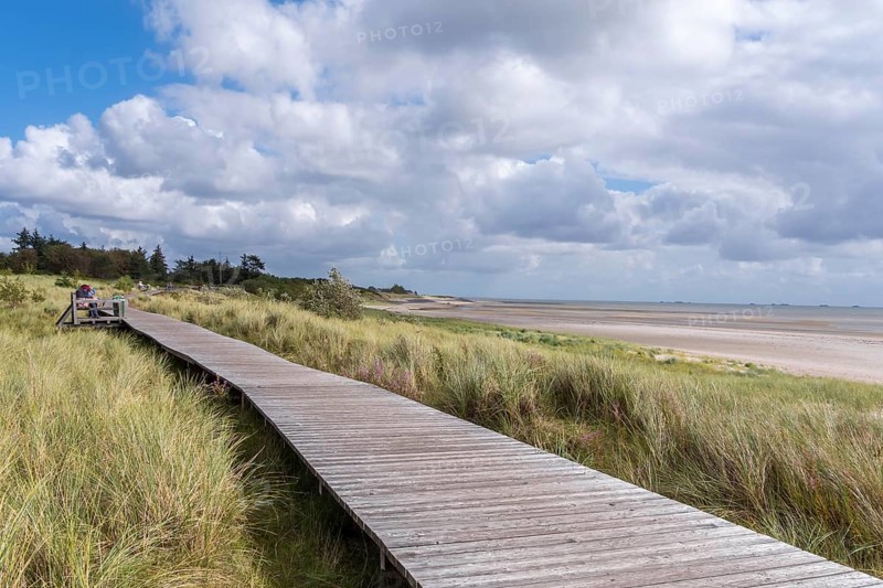 Wooden footbridge, in the dunes between Nieblum and GrevelingInsel, Föhr, North Frisia, Schleswig-Holstein, Germany