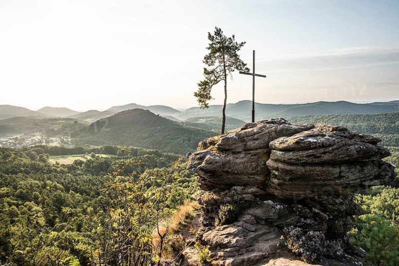 Sandstone rock with pine tree and summit cross, Rötzenfelsen, sunrise, Gossersweiler-Stein, Palatinate Forest, Palatinate Forest, Rhineland-Palatinate, Germany