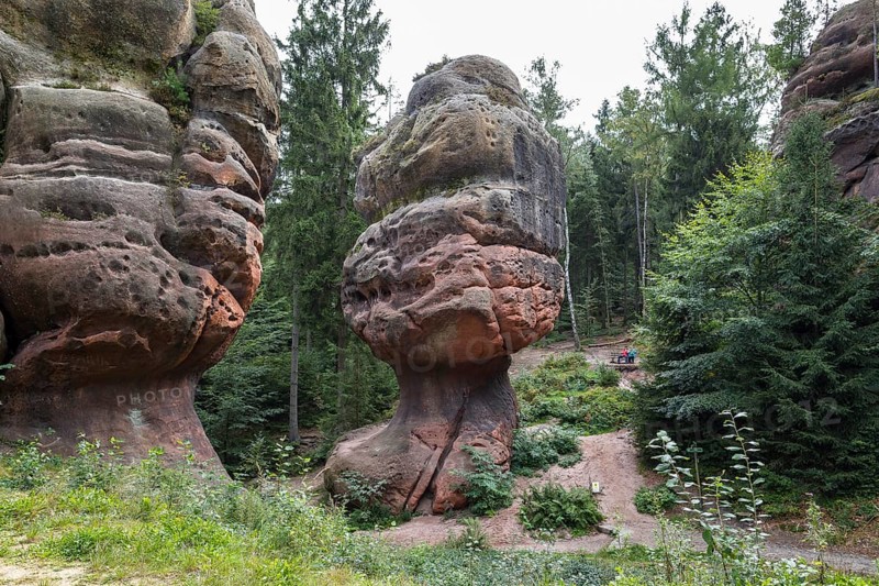 Natural monument Kelchsteine with mushroom rock Kelchstein near Oybin, Zittau Mountains, Saxony, Germany