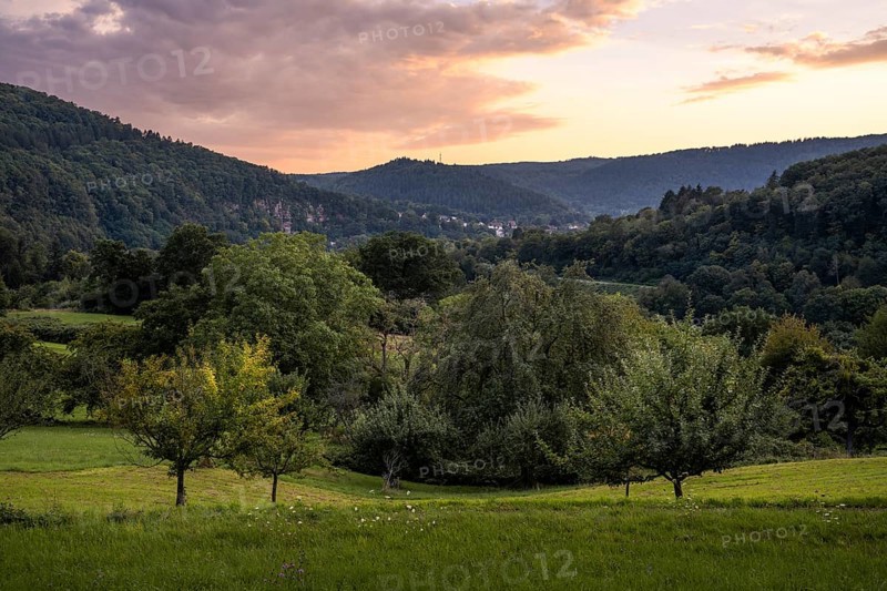 Landscape near Dilsberg in the Neckartal-Odenwald nature park. In the background, houses in Neckargemünd and wooded areas of the Königstuhl. Sunset. Neckargemünd, Kleiner Odenwald, Rhine-Neckar district, Baden-Württemberg, Germany