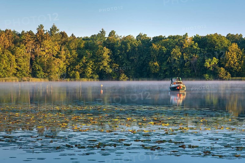 Morning atmosphere at Lake Grienerick, boat anchored, morning mist on the water, water lilies in front, Rheinsberg, Brandenburg, Germany