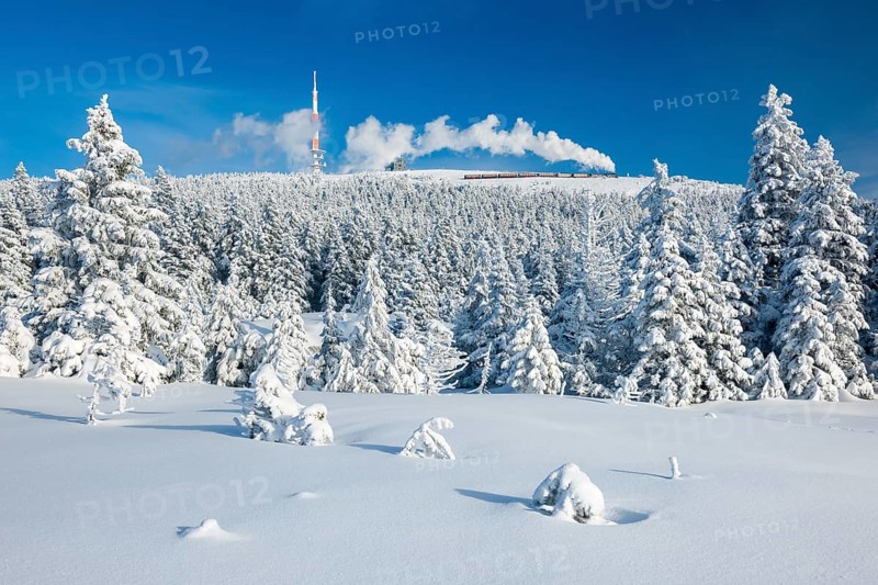 Deep snowy winter landscape with snow-covered spruce forest, view of the Brocken, the Brocken railway runs to the summit, Harz National Park, Saxony-Anhalt, Germany