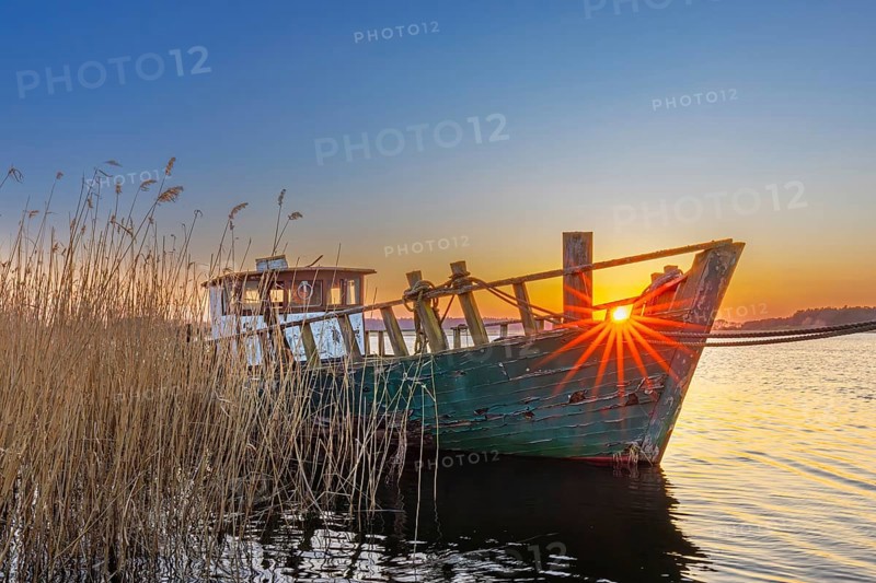 Fishing boat along reed bed at sunset on the island of Usedom, Mecklenburg-Vorpommern, Germany