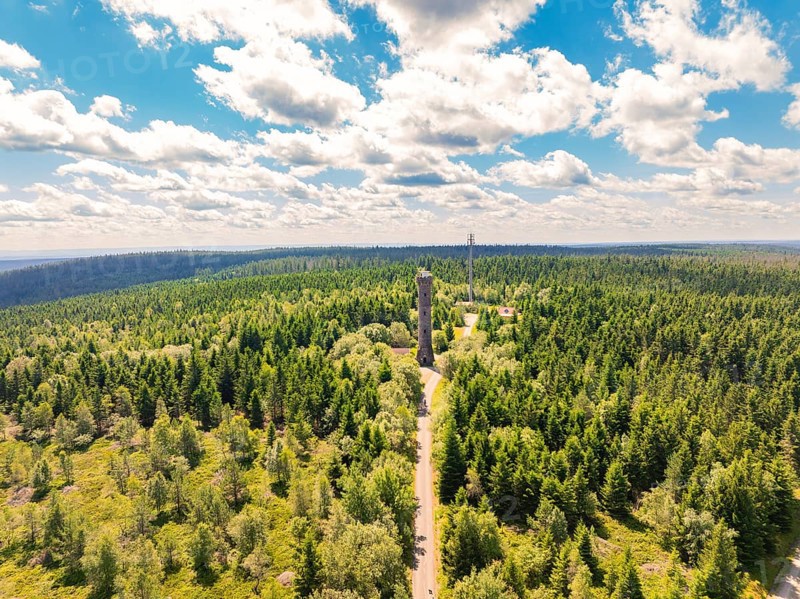An observation tower rises in the middle of a dense forest under a blue sky with white clouds, Kaltenbronn, Hohlohturm, Black Forest, Germany