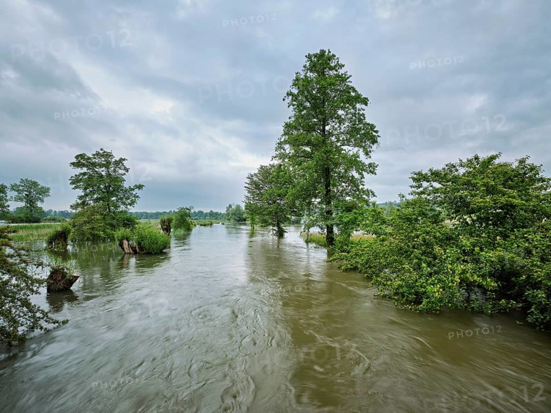 Trees standing in the flooded river Lorze, floodplain landscape, Reussspitz nature reserve, Maschwanden, Canton Zurich, Switzerland
