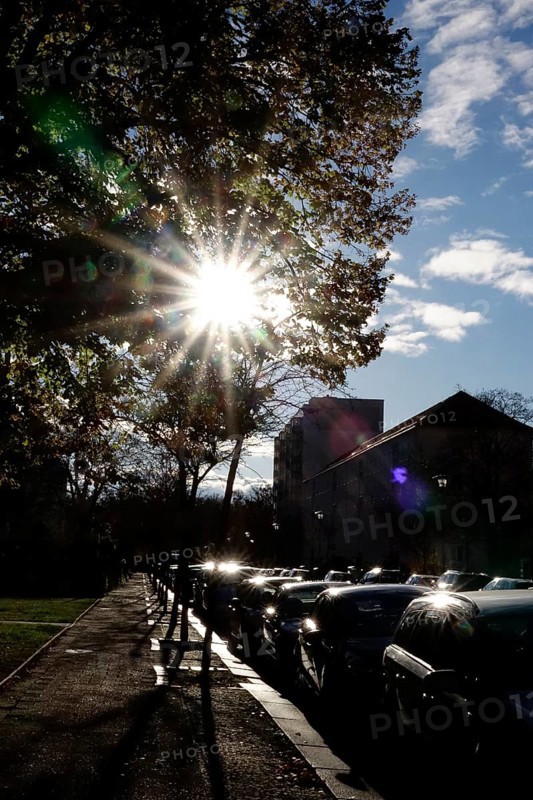 Autumn sun and parked cars, late autumn, Germany