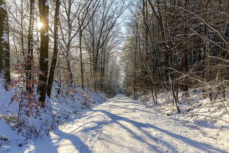 Straight hiking trail on a former railway embankment in the snow near Dürrröhrsdorf-Dittersbach, Saxony, Germany