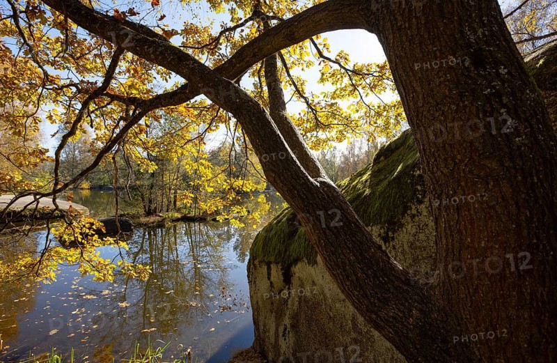 Fish pond with granite rocks and autumn-coloured oak in the Blockheide nature park Park near Gmünd, Waldviertel, Lower Austria, Austria