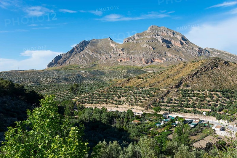 Majestic mountains and green landscape with scattered houses and trees under a clear blue sky, Alto de la Serrezuela mountain, near Bedmar y Garcíez, Bedmar y Garciez, Sierra Mágina Natural Park, Jaén province, Jaen, Andalusia, Spain
