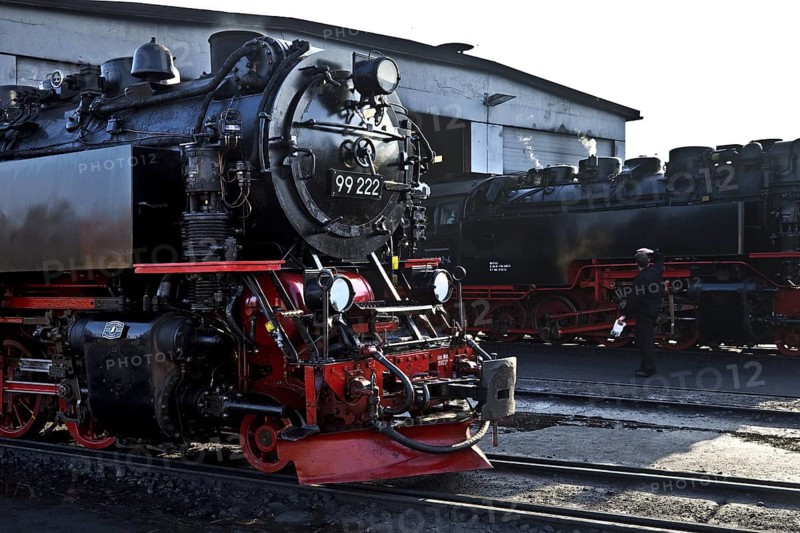 Steam locomotives at the engine shed, Harz narrow-gauge railway, abbreviated HSB, Wernigerode station, railway romance, nostalgia, Saxony-Anhalt, Germany