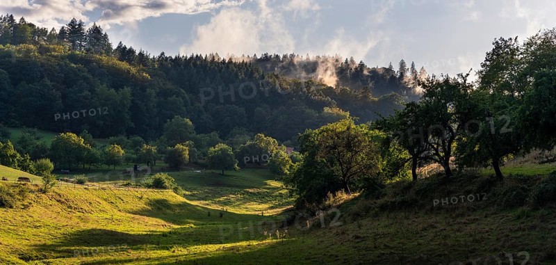 Landscape in the Odenwald with trees, meadows, forest and hills. Sunshine after rain. In the evening. Hinterheubach, Heiligkreuzsteinach, Odenwald, Baden-Württemberg, Germany