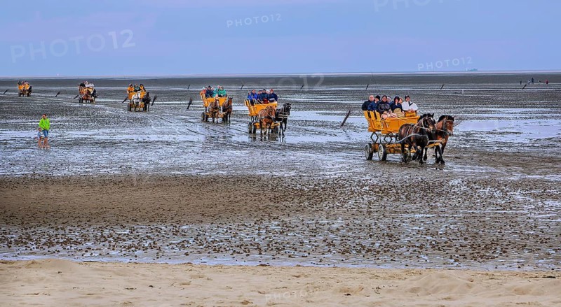 Mudflats in the Wadden Sea from the journey to the island of Neuwerk in the district of Duhnen, North Sea spa town of Cuxhaven, North Sea coast, Elbe, Elbe estuary, Lower Saxony, Germany