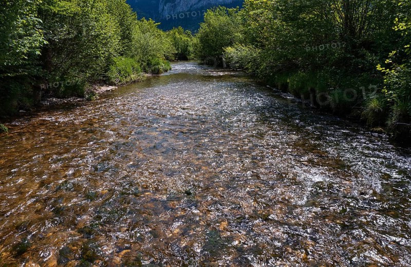 Straightened course of the Fuschler Ache near Sankt Lorenz, banks overgrown with trees, Mondseeland, Salzkammergut, Upper Austria, Austria